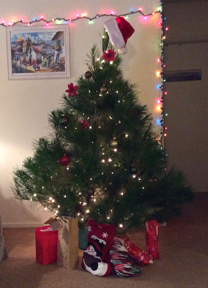 Nice Christmas present. No $600 fine.